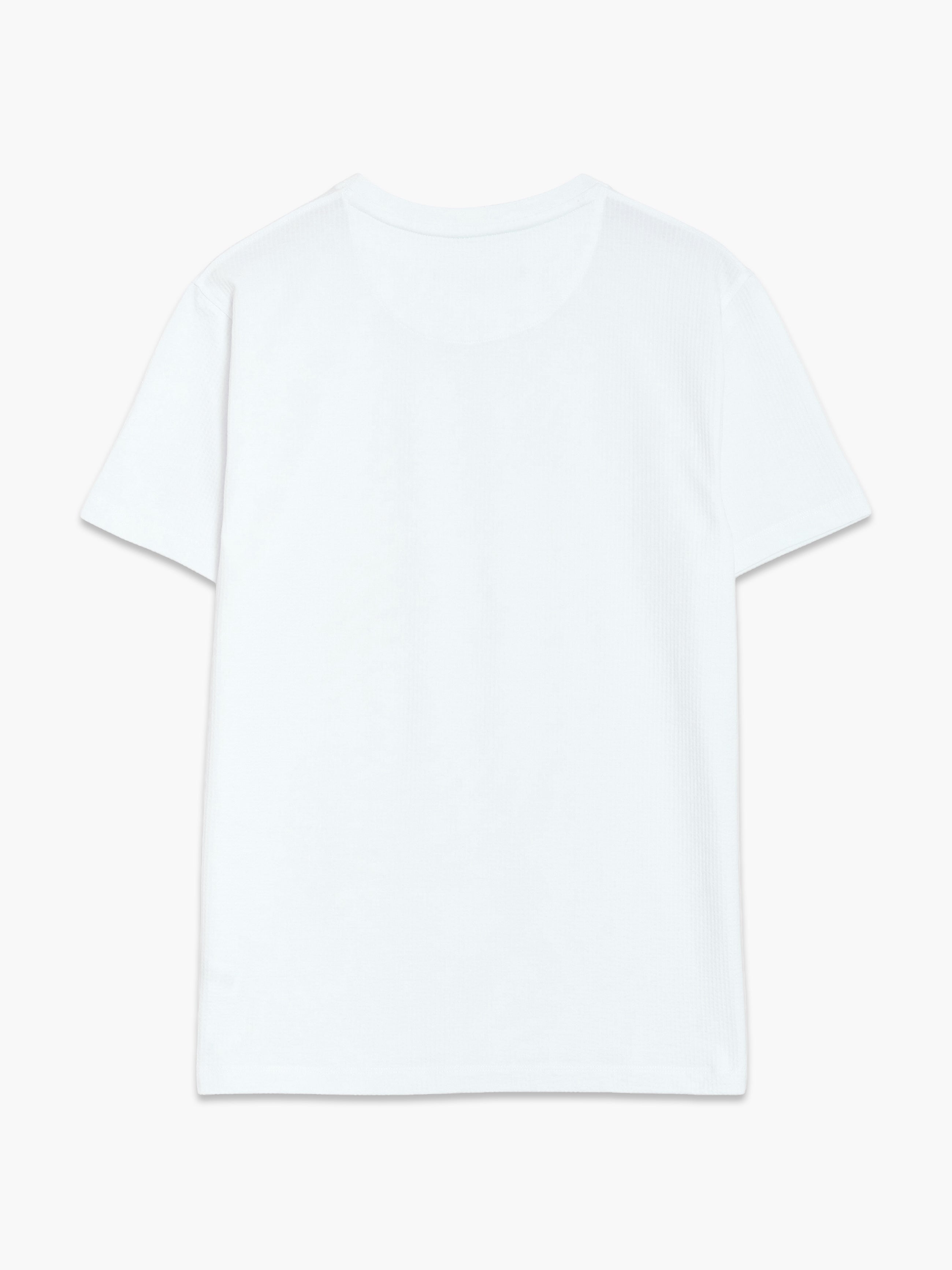 Short Sleeve Micro Seersucker White Stripe T-Shirt