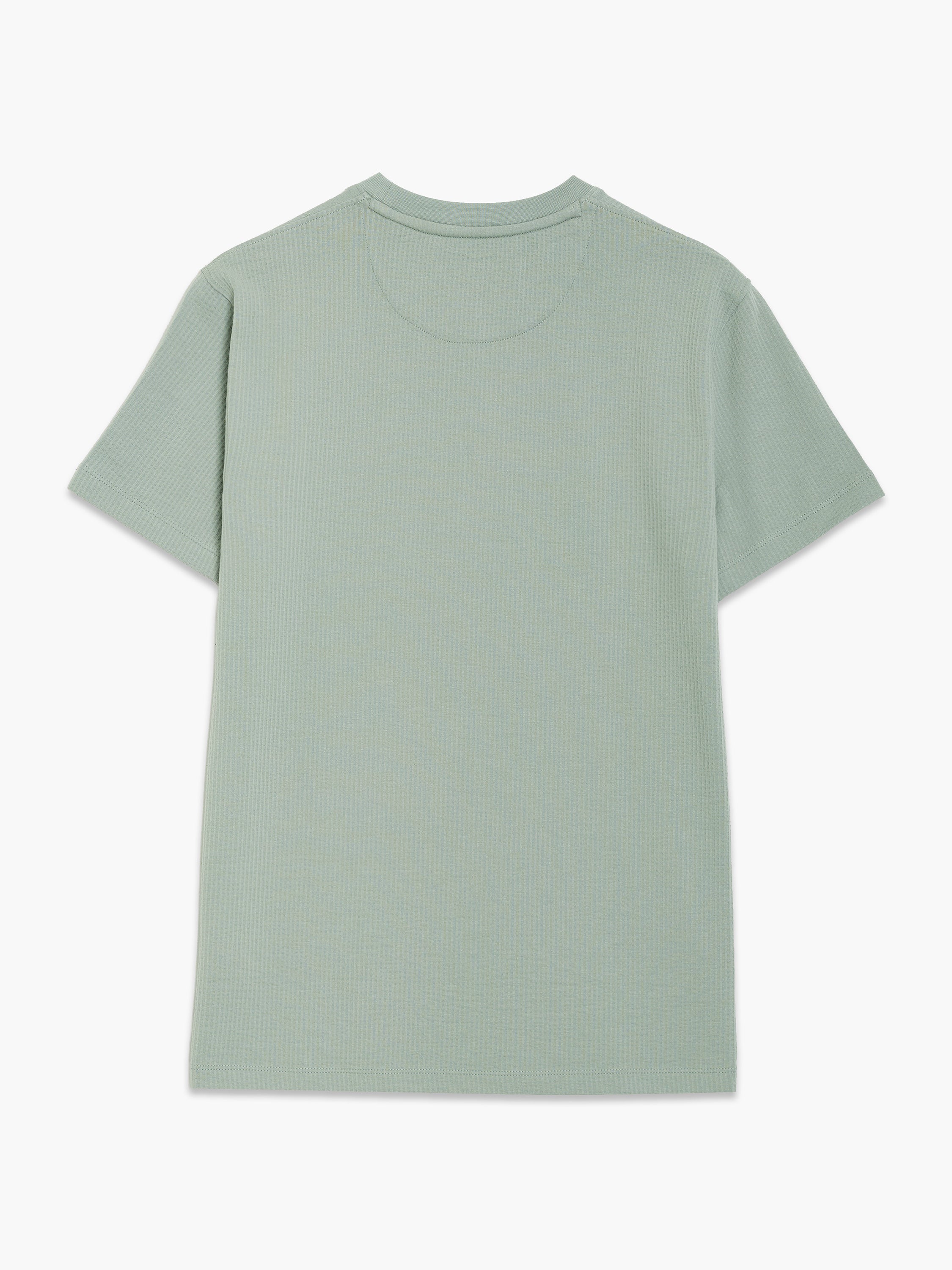 Short Sleeve Micro Seersucker Green Stripe T-Shirt