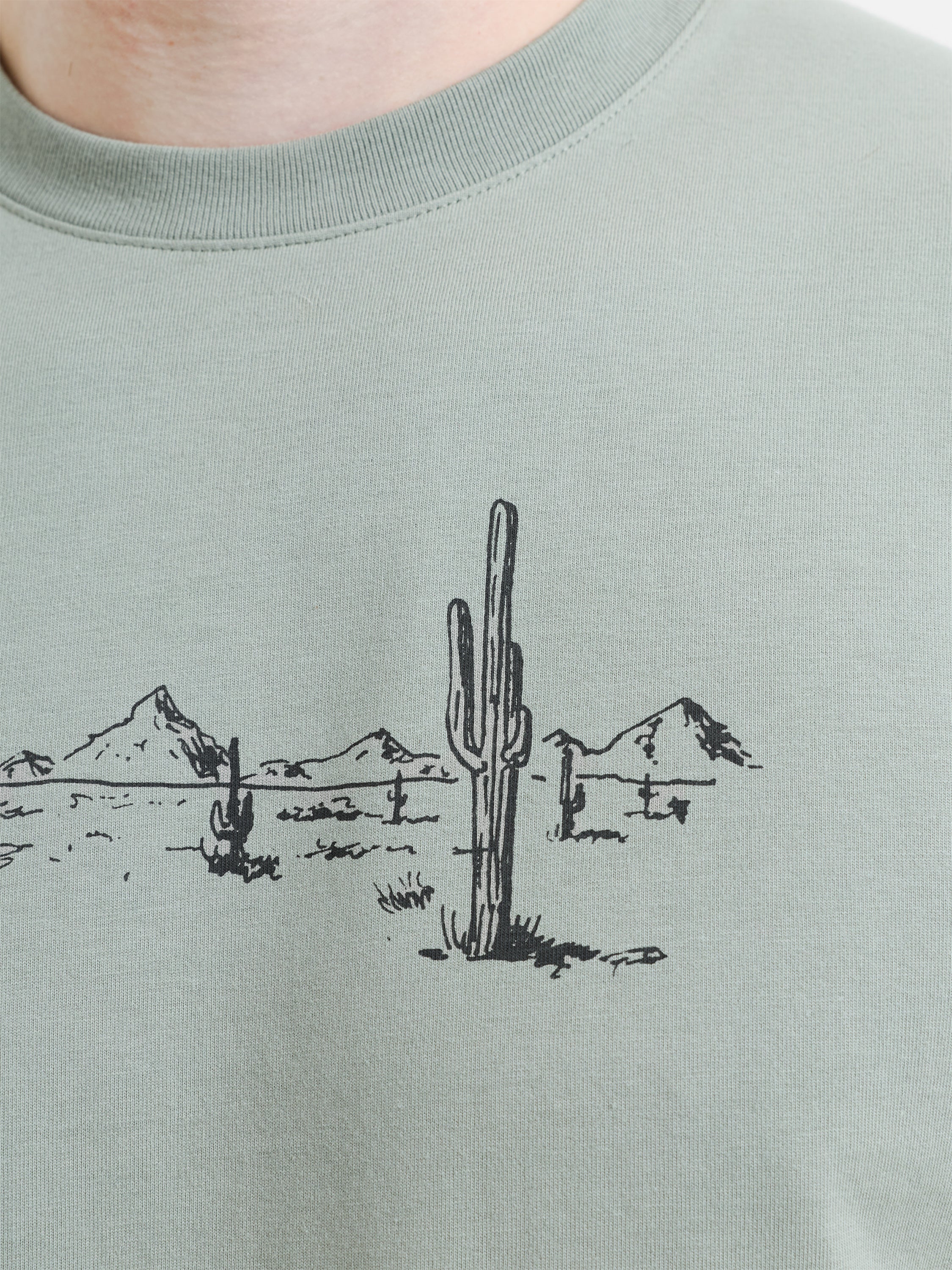 Short Sleeve Desert Graphic Sage Green T-Shirt