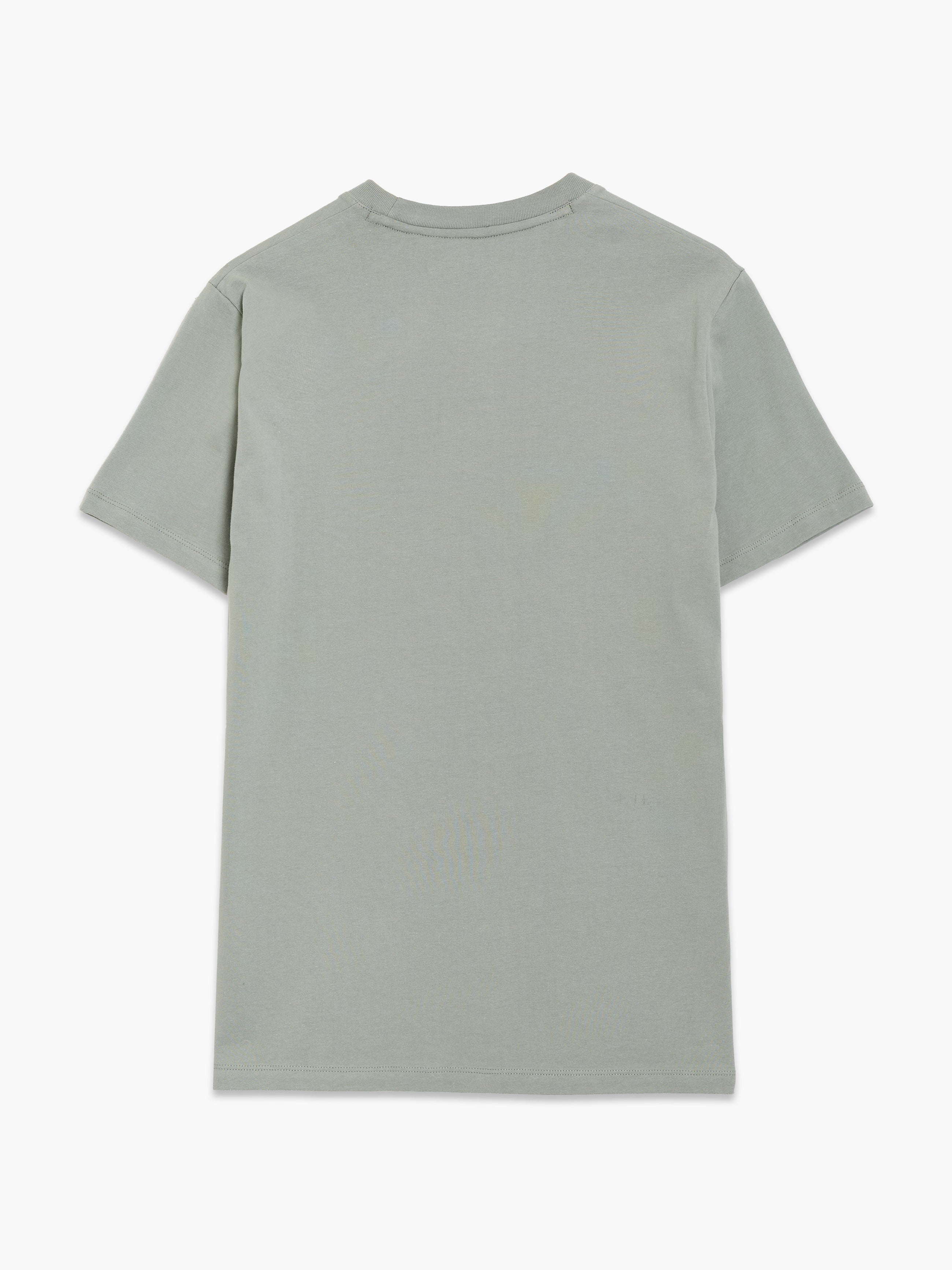 Short Sleeve Desert Graphic Sage Green T-Shirt