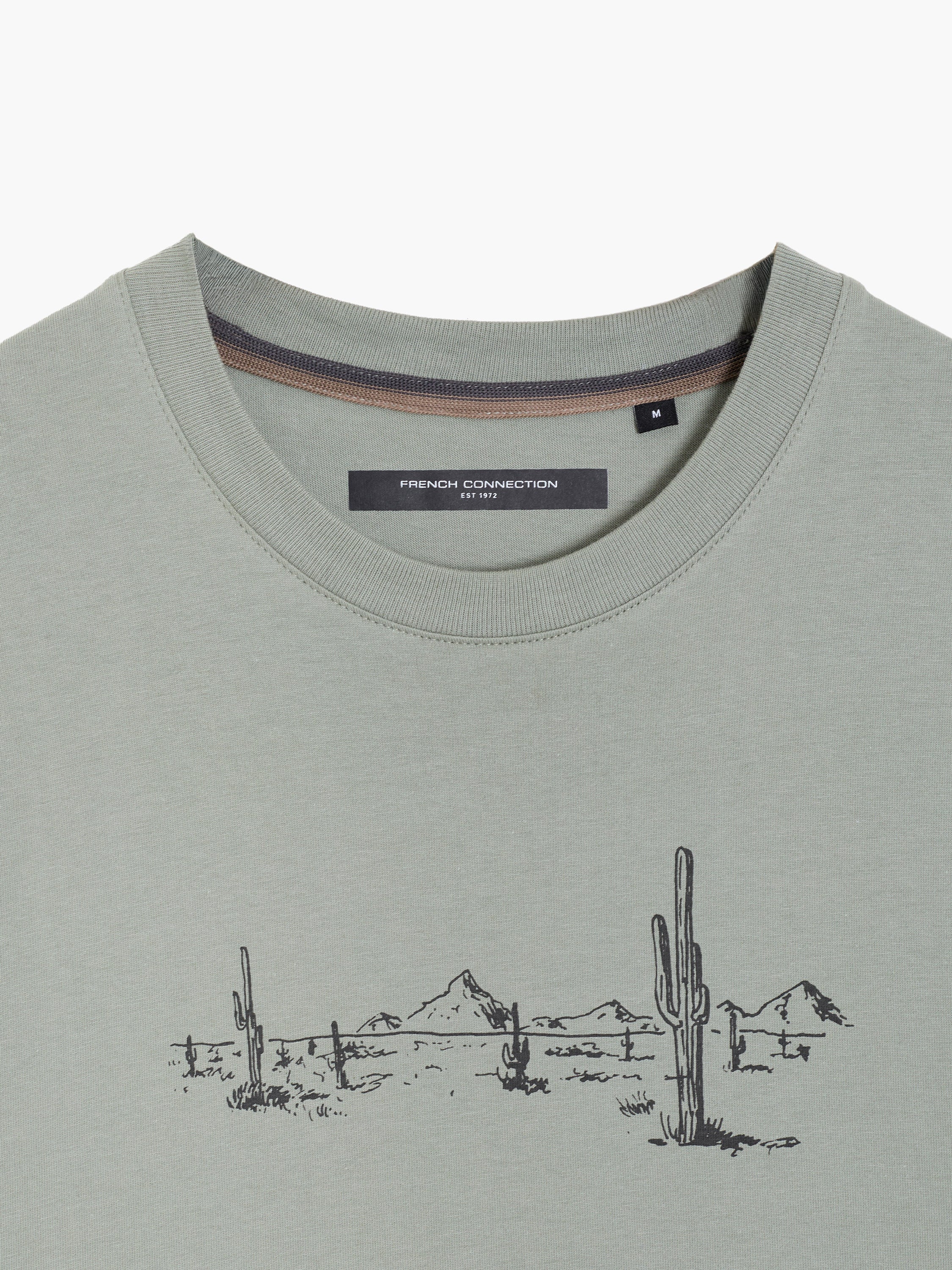 Short Sleeve Desert Graphic Sage Green T-Shirt