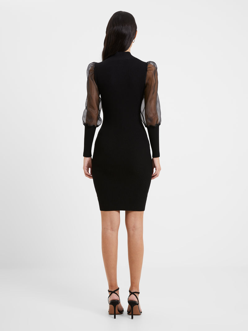 Krista Organza Long Sleeve Dress