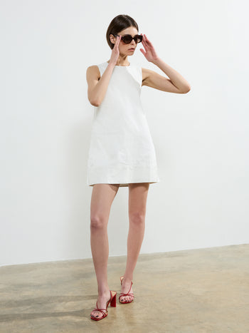 Pinstripe Sleeveless Shift Dress