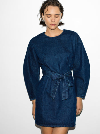 Leighton Denim Banana Sleeve Mini Dress