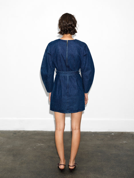 Leighton Denim Banana Sleeve Mini Dress