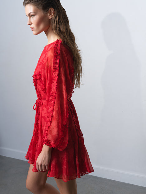 Kara Print Long Sleeve Flared Mini Dress