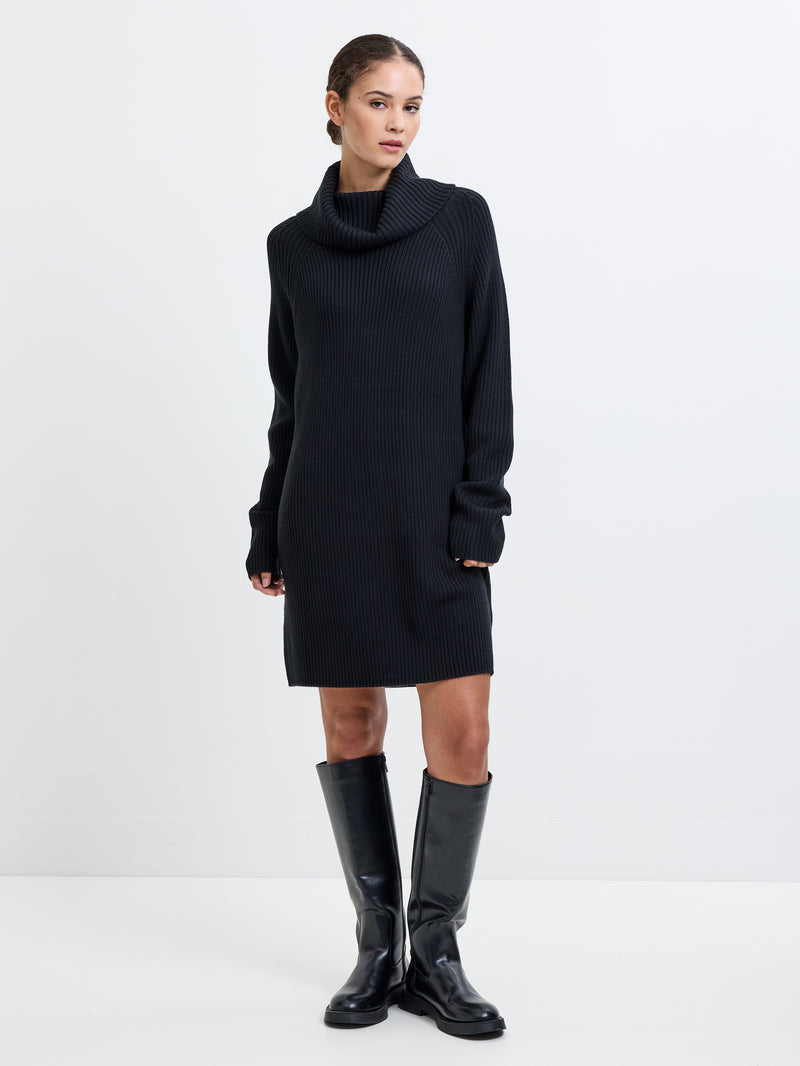 Babysoft Roll Neck Ribbed Knit Dress