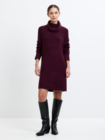 Babysoft Roll Neck Ribbed Knit Dress