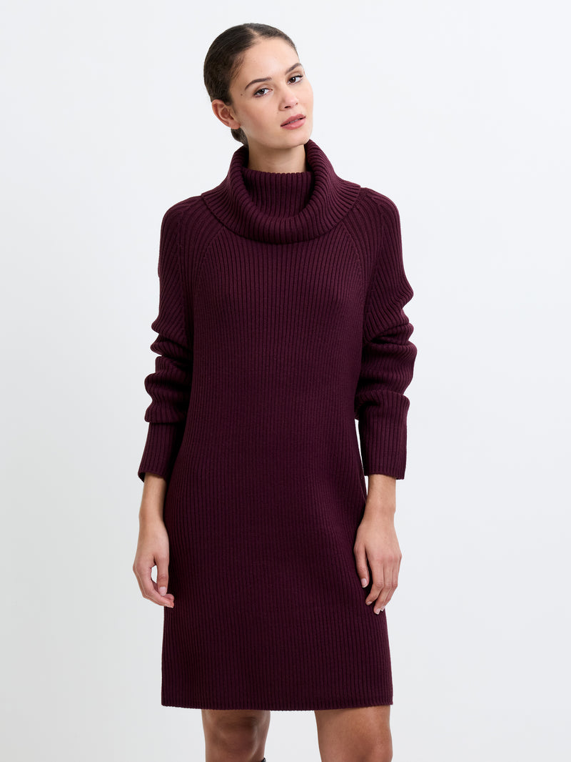 Babysoft Roll Neck Ribbed Knit Dress