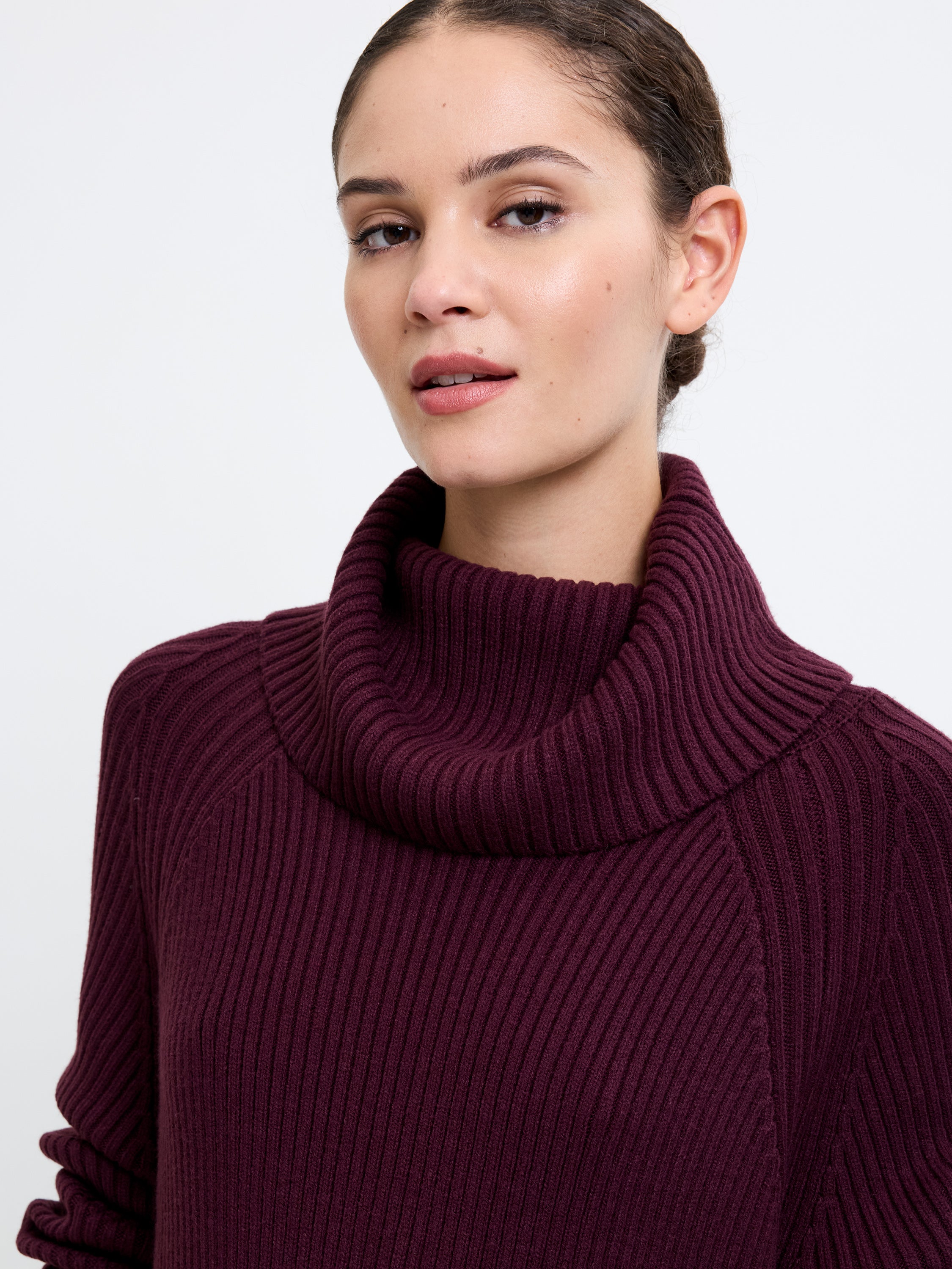 Babysoft Roll Neck Ribbed Knit Dress