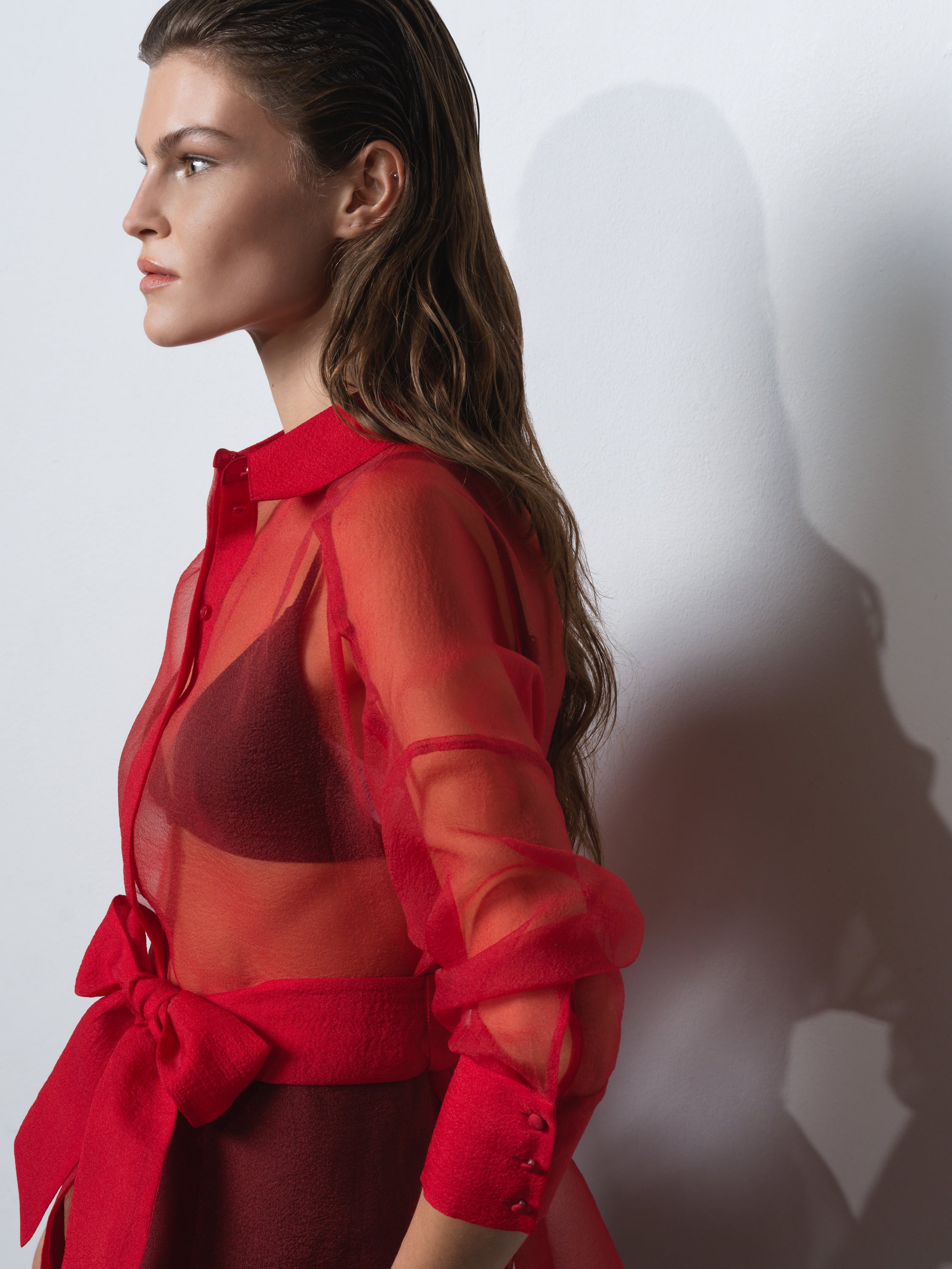 Mai Organza Tie Waist Shirt