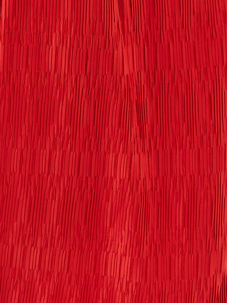 Moira Pleated Skirt