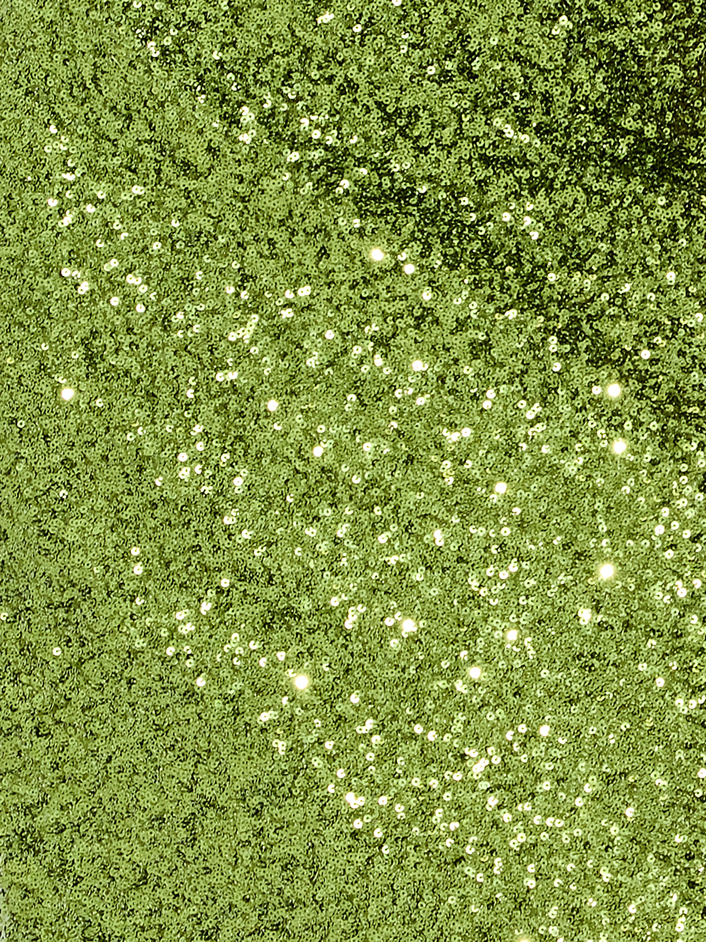 Elena Sequin Midi Skirt