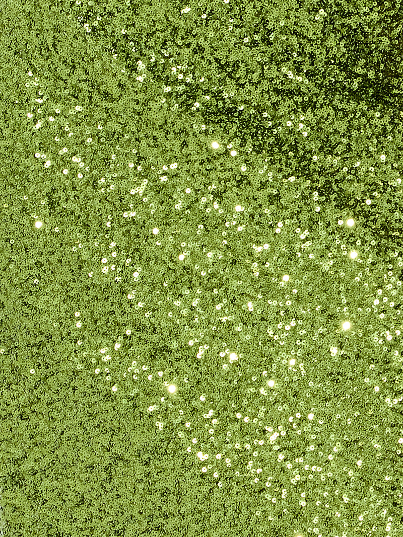 Elena Sequin Midi Skirt