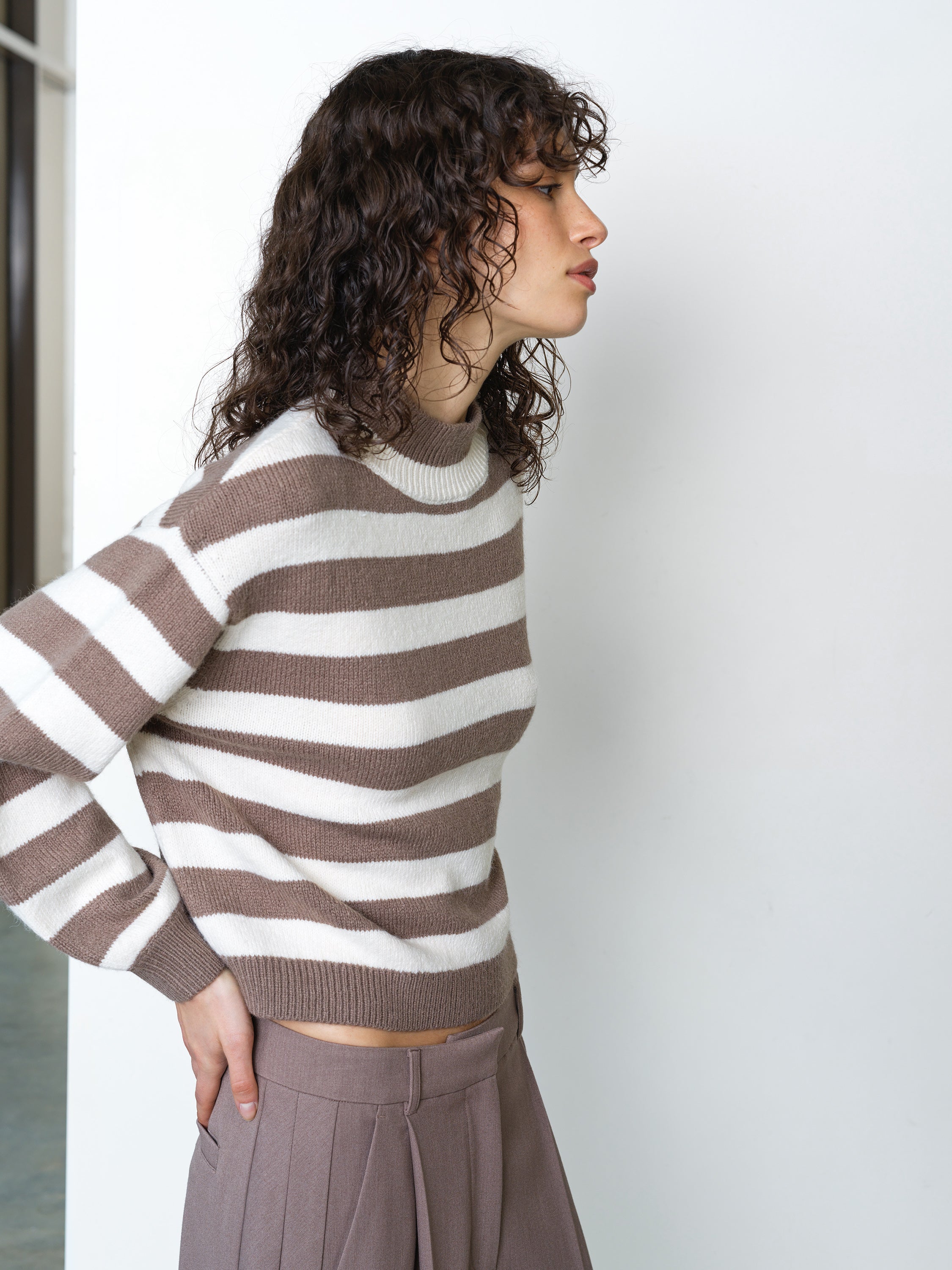 Larisa Knit Mock Neck Taupe Striped Jumper